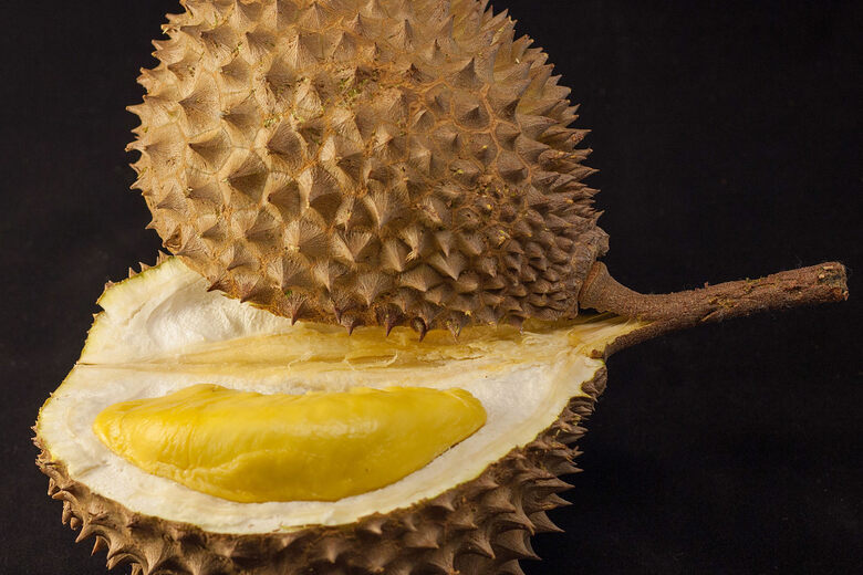 Resultado de imagen de Durian