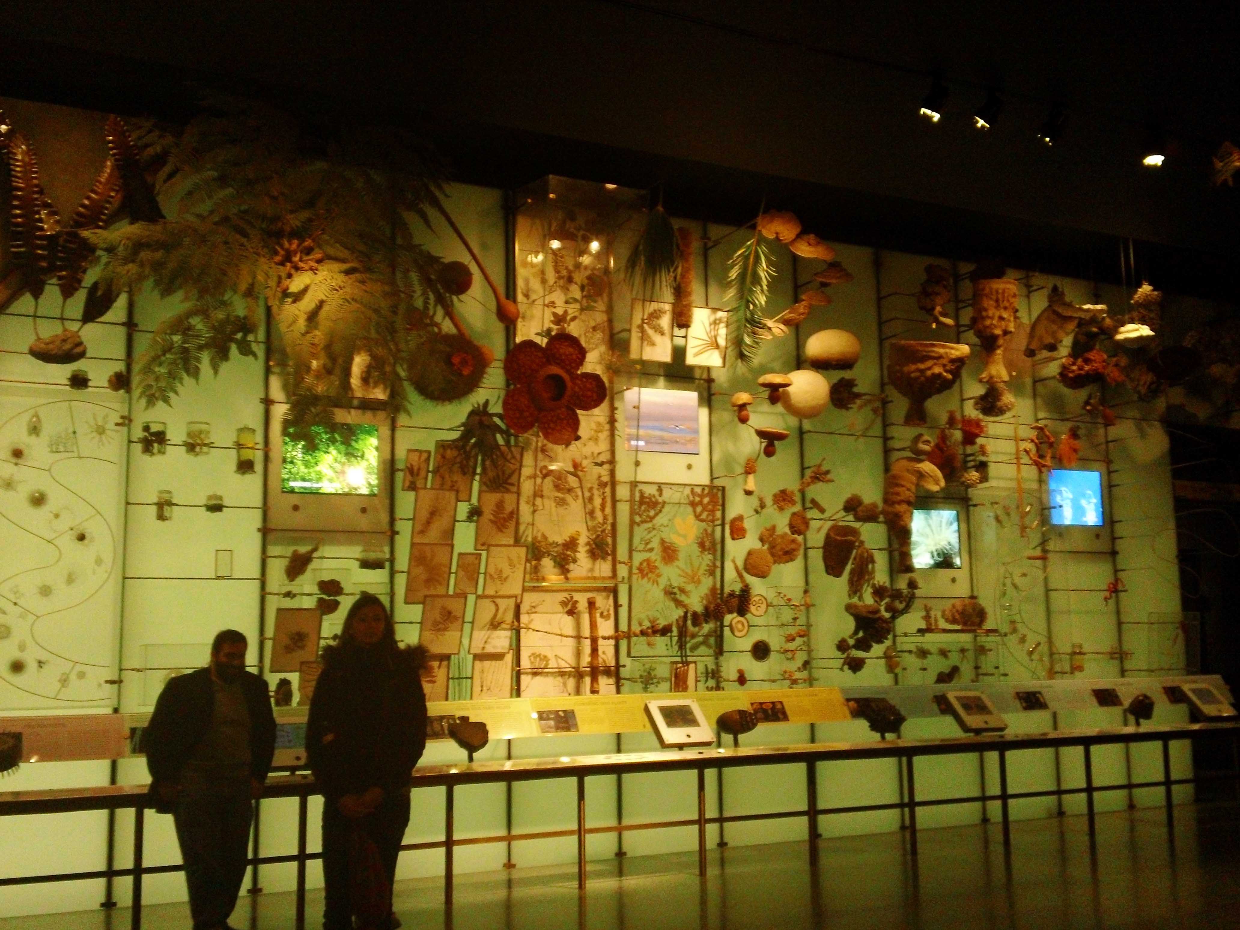 American Museum of Natural History - Atlas Obscura Visits - Annetta & Sarah