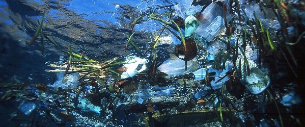 Great Pacific Garbage Patch - Northern Trash Gyre - Size of Texas