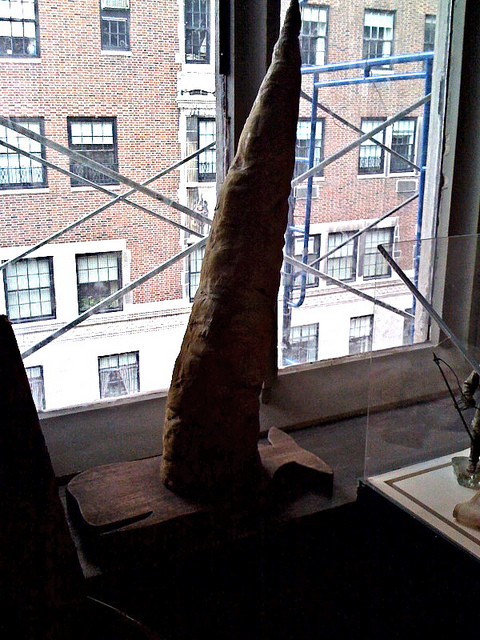 Whale Penis - Dork - Atlas Obscura Visit to the Explorers Club - New York