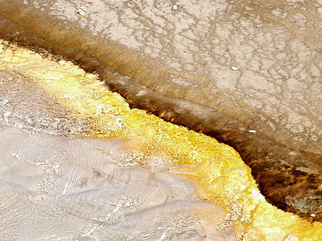 Bacteria Mats - Yellowstone Springs - Atlas Obscura Blog